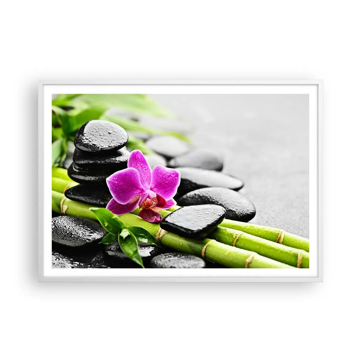 Plakat w białej ramie - W spokojnej równowadze - 100x70 cm