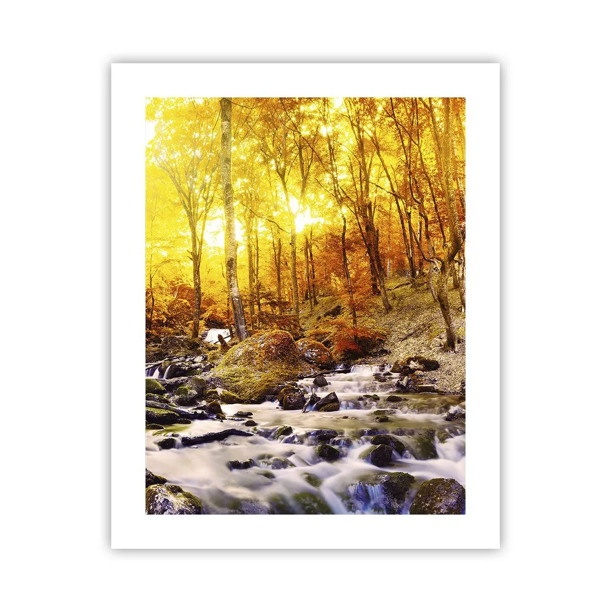 Plakat - Kamienie oprawne w złoto i platynę - 40x50 cm