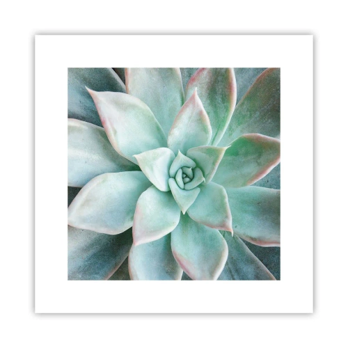 Plakat - Serce pustyni - 30x30 cm