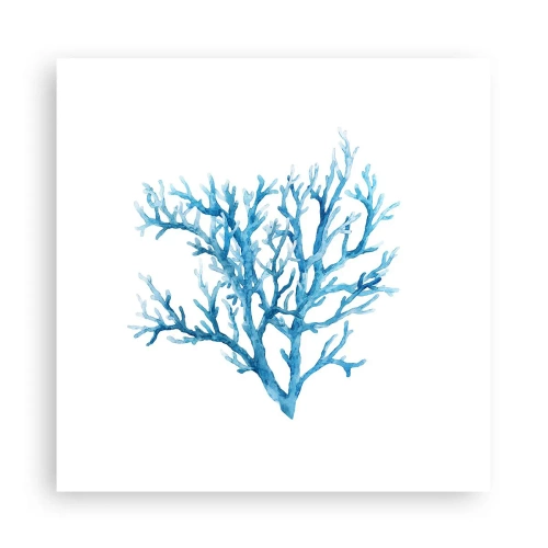 Plakat - Morski filigran - 30x30 cm