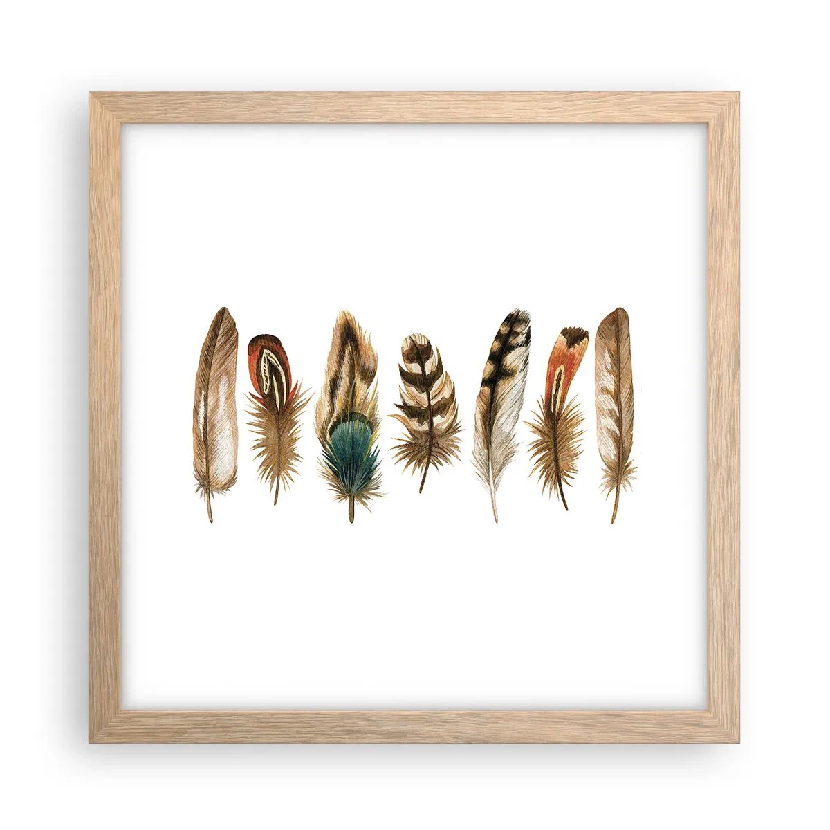 Plakat w ramie jasny dąb - Pierzasta wariacja - 30x30 cm