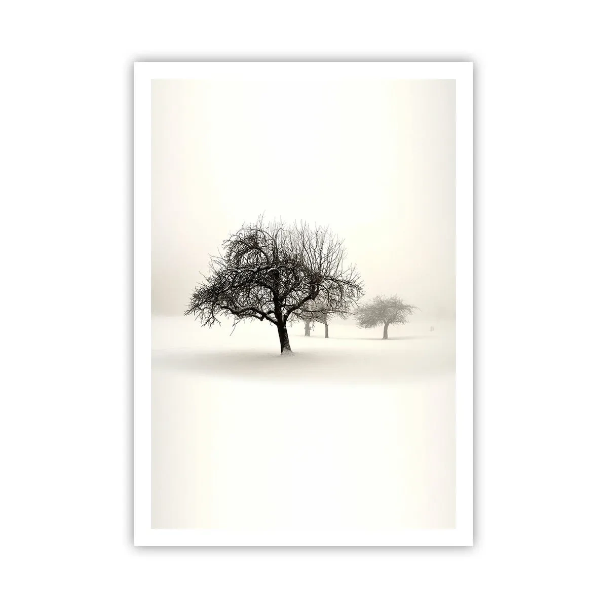 Plakat - Zimowy sen - 70x100 cm