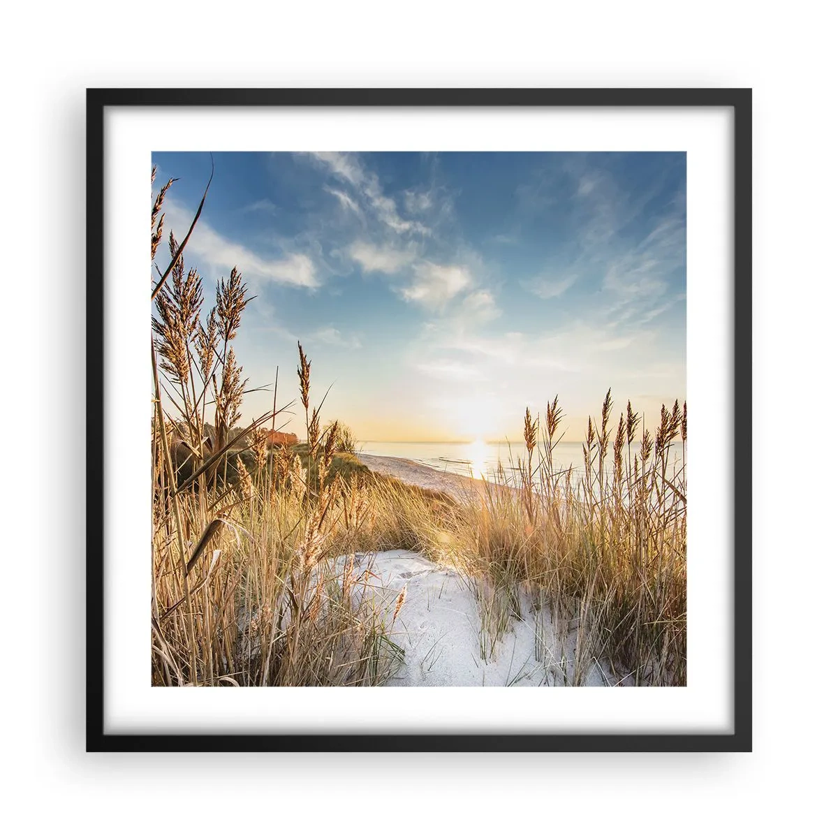 Plakat w czarnej ramie - Północna plaża - 50x50 cm