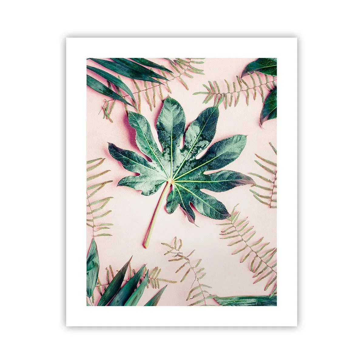 Plakat - Studium zieleni na różowym tle - 40x50 cm