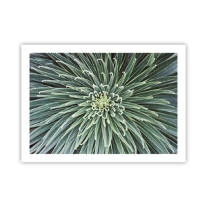 Plakat - Narodziny gwiazdy - 70x50 cm