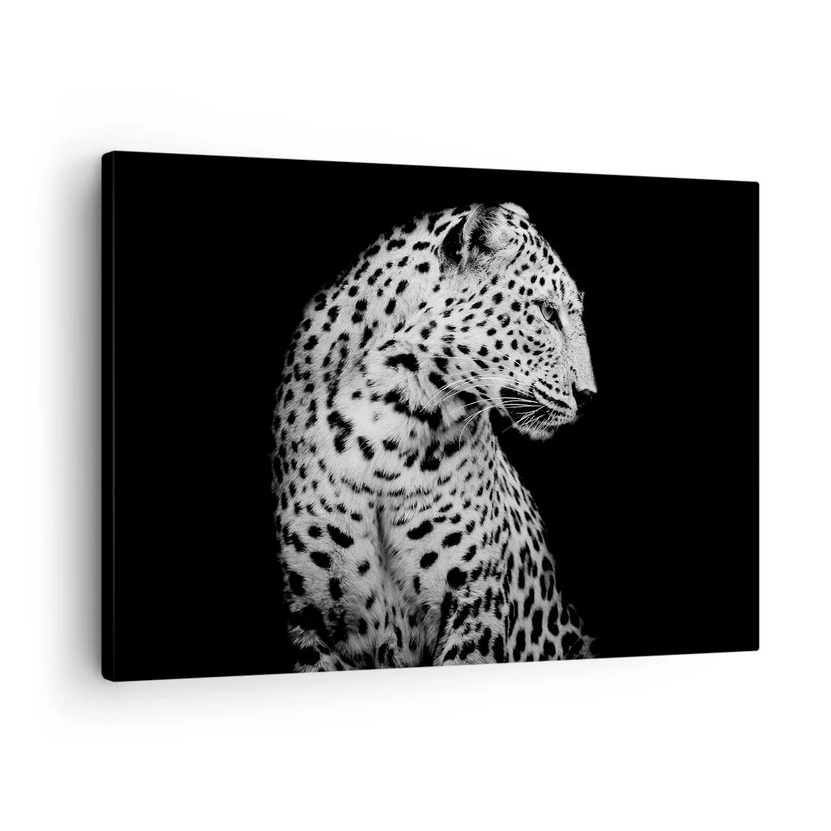 Obraz na płótnie - Czarno-biały wizerunek lamparta na czarnym tle - 70x50cm - Prawy profil doskonały! - Nowoczesna dekoracja ścienna do salonu i sypialni ARTTOR