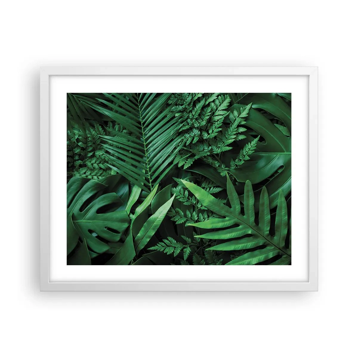 Plakat w białej ramie - Utulone w zieleni - 50x40 cm