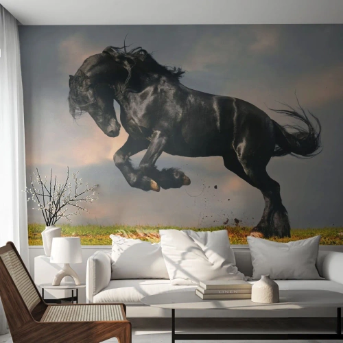 Fototapeta Samoprzylepna Deluxe Sticker - Piękny i wolny - Zwierzęta, Koń, Krajobraz - 100x70 cm