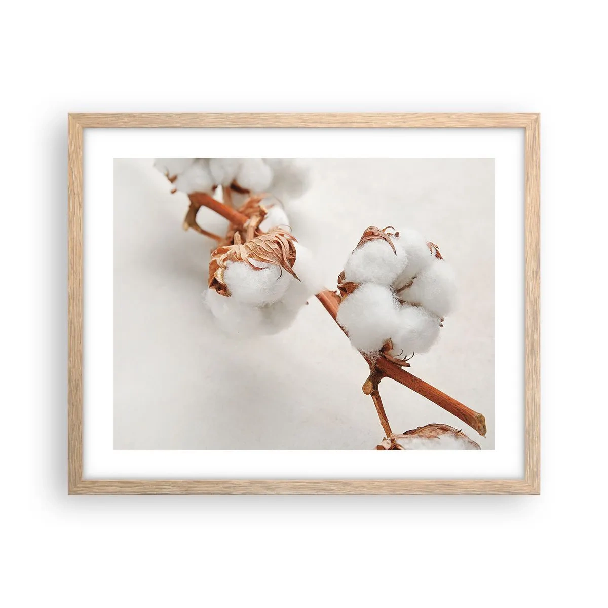 Plakat w ramie jasny dąb - Tylko tulić - 50x40 cm