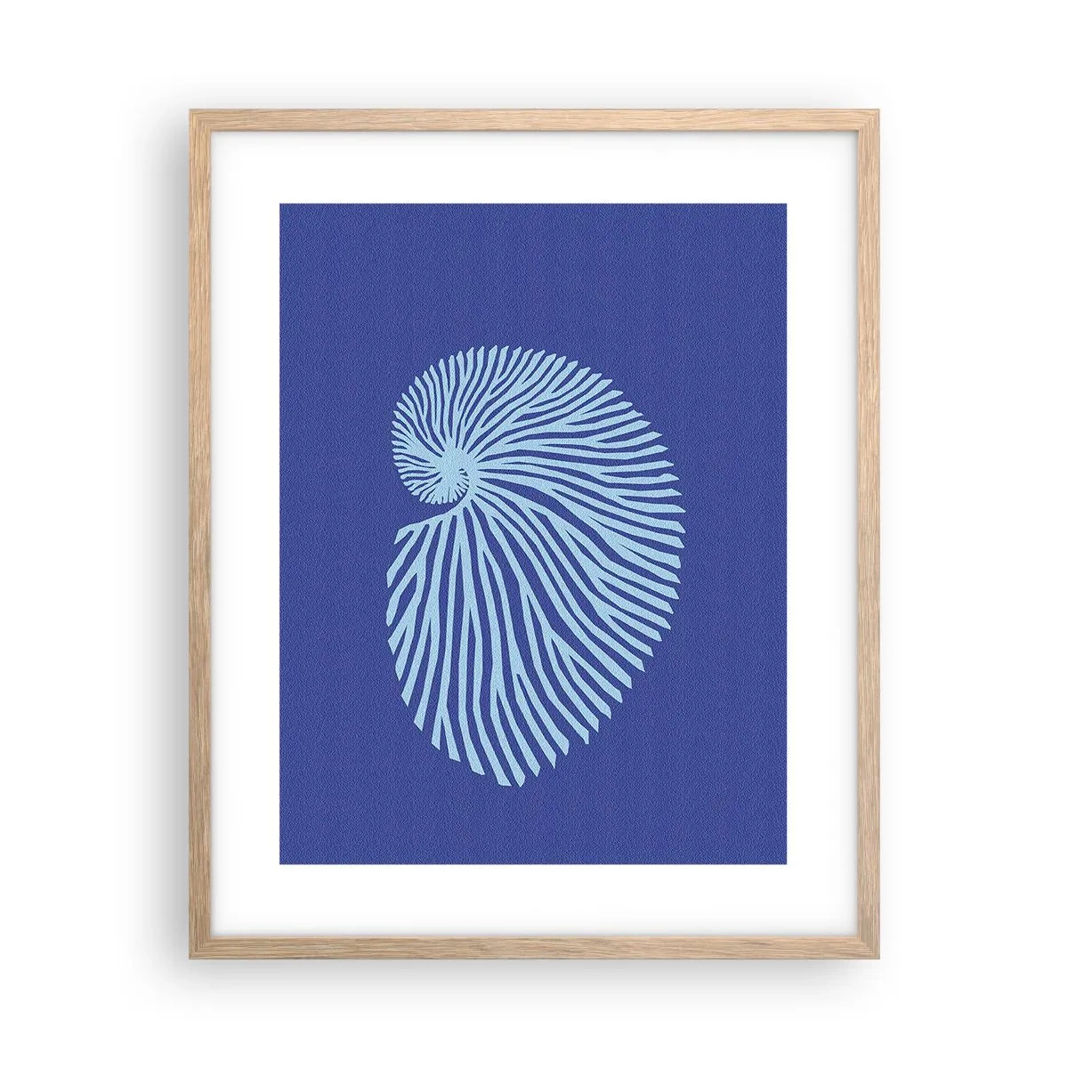 Plakat w ramie jasny dąb - Narodziny muszli - 40x50 cm