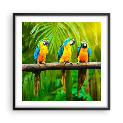 Plakat w czarnej ramie - A słyszałaś, że ona…? - 50x50 cm