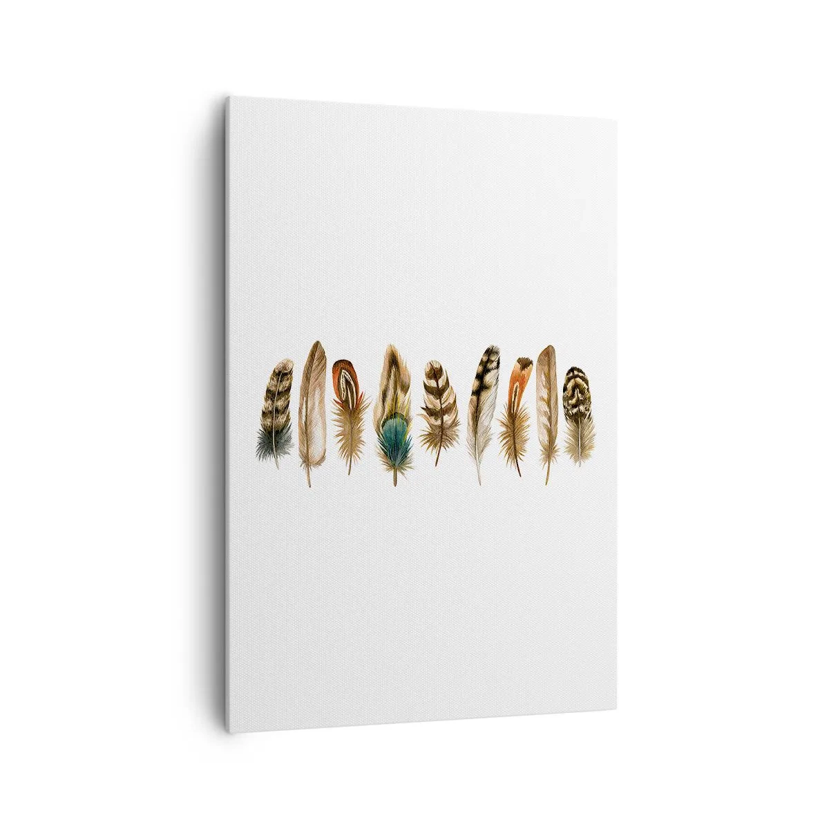 Obraz na płótnie - Dekoracyjny motyw kolekcji różnorodnych piór - 70x100cm - Pierzasta wariacja - Nowoczesna dekoracja ścienna do salonu i sypialni ARTTOR