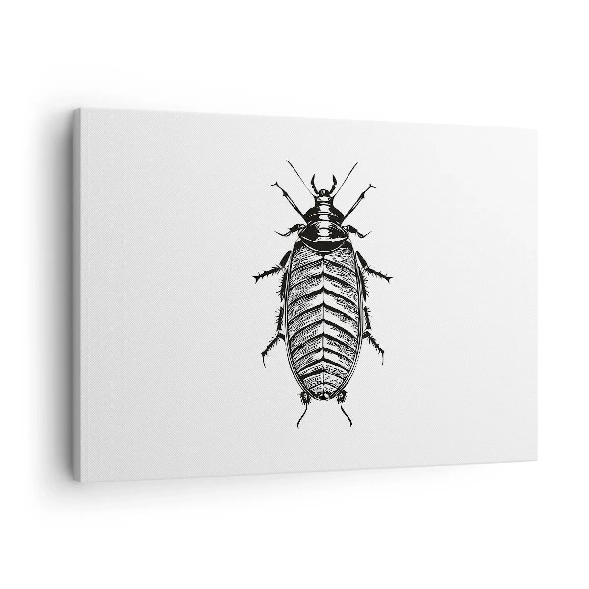 Obraz na płótnie - Grafika czarno-białego owada na białym tle - 70x50cm - Co za okaz! - Nowoczesna dekoracja ścienna do salonu i sypialni ARTTOR