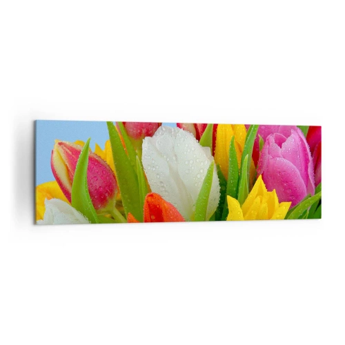 Obraz na płótnie - Kolorowe tulipany pokryte kroplami rosy na błękitnym tle - 160x50cm - Kwiatowa tęcza w kroplach rosy - Nowoczesna dekoracja ścienna do salonu i sypialni ARTTOR
