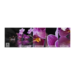 Fototapeta Próbka Samoprzylepna Deluxe Sticker - Liliowe odbicie piękna - Kwiaty, Orchidea, Natura - 100x30 cm