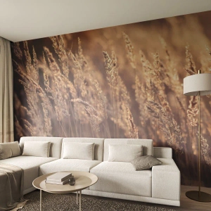 Fototapeta Samoprzylepna Deluxe Sticker - Gotowe na powitanie jesieni - Krajobraz, Kłosy Zboża, Łąka - 250x175 cm