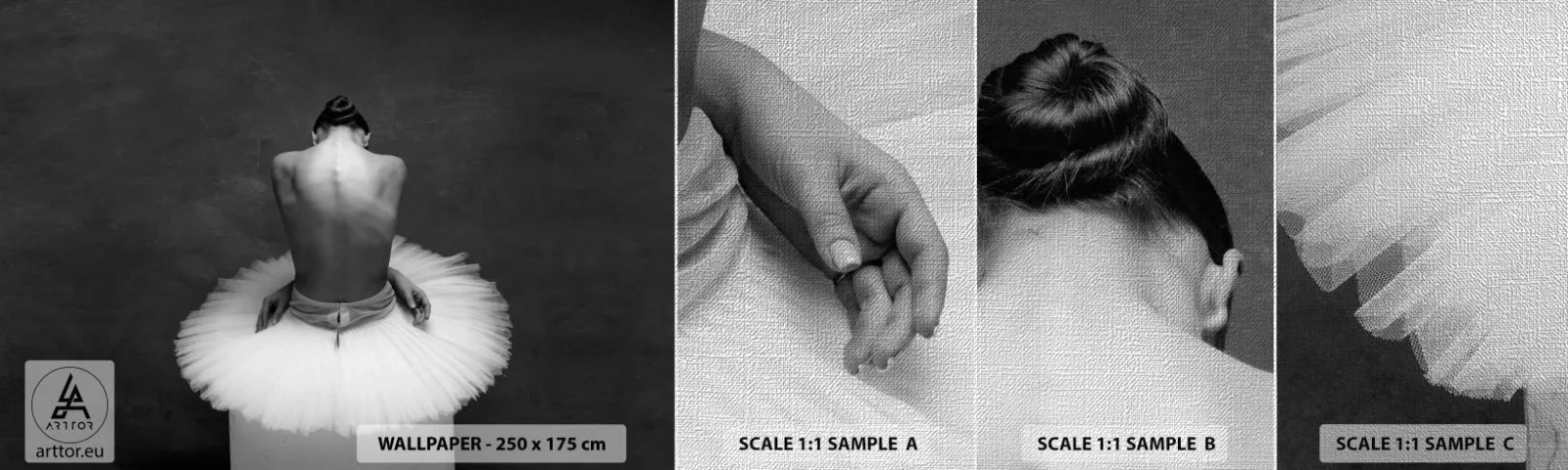 Fototapeta Próbka Premium Canvas - Właśnie rozkwita - Baletnica, Taniec, Balet - 100x30 cm