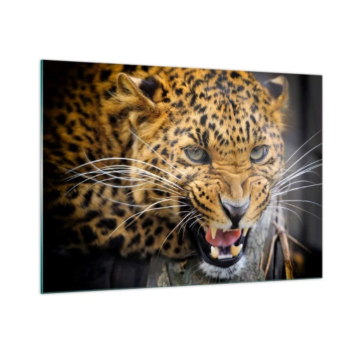 Obraz na szkle - Zbliżenie agresywnego lamparta z wyraźnymi detalami - 100x70cm - Nie podchodź, ostrzegam! - Nowoczesna dekoracja ścienna do salonu, kuchni i sypialni ARTTOR