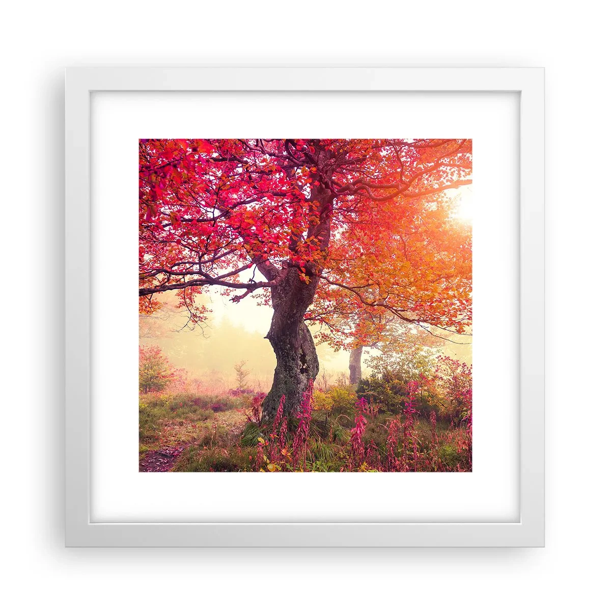 Plakat w białej ramie - Szał rozkwitu - 30x30 cm