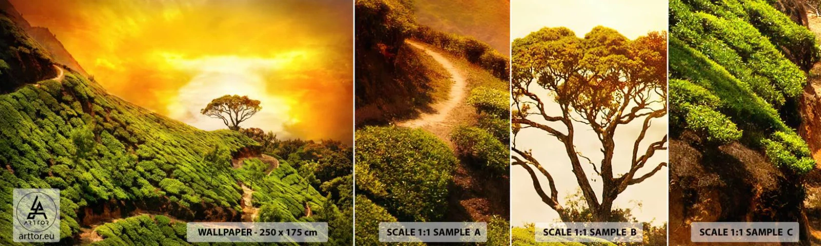 Fototapeta Próbka Standard Eco - Krętą ścieżką, zielonym zboczem - Krajobraz, Plantacja Herbaty, Indie - 100x30 cm