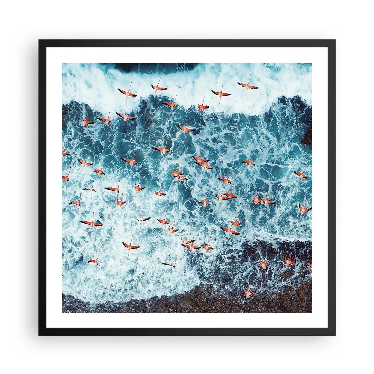 Plakat w czarnej ramie - Nadmorska parada - 60x60 cm