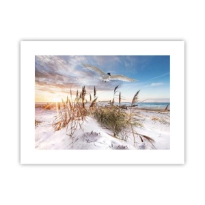 Plakat - Wiatr od morza - 40x30 cm
