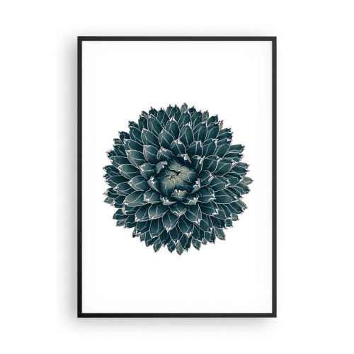 Plakat w czarnej ramie - Gwiazda pustyni - 70x100 cm