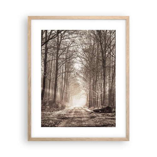 Plakat w ramie jasny dąb - Leśna katedra - 40x50 cm