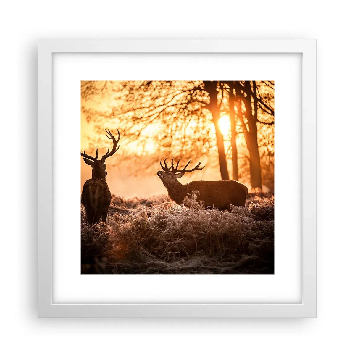 Plakat w białej ramie - Marzenie myśliwego - 30x30 cm
