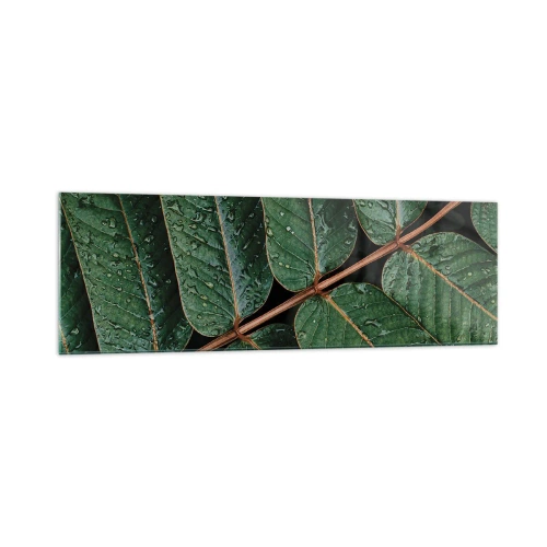 Obraz na szkle - Zielone liście z kroplami rosy w makro ujęciu - 160x50cm - W zielonym rytmie - Nowoczesna dekoracja ścienna do salonu i sypialni ARTTOR