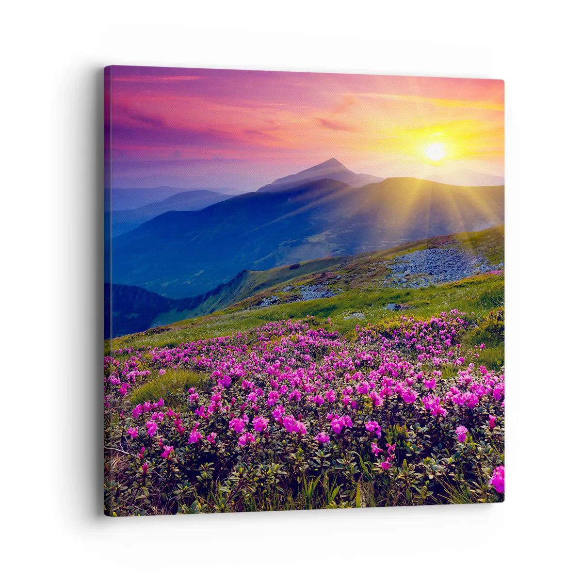 Obraz na płótnie - … A dokoła pachnie kosodrzewina i wonieją zioła - 40x40 cm