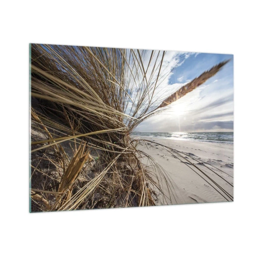 Obraz na szkle - Złote trawy na tle piaszczystej plaży i morza - 100x70cm - Spotkanie żywiołów - Nowoczesna dekoracja ścienna do salonu, kuchni i sypialni ARTTOR