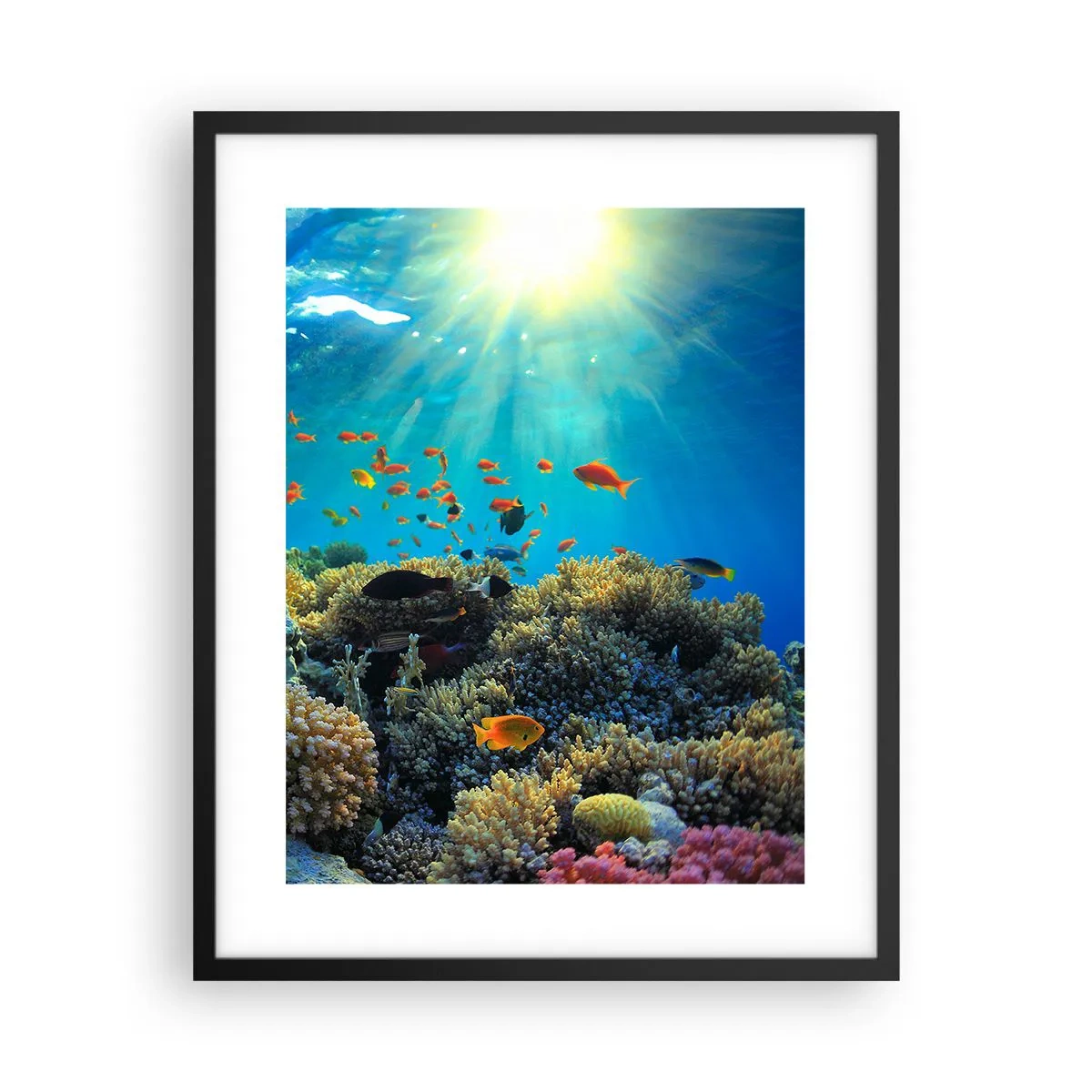 Plakat w czarnej ramie - Podwodne skarby - 40x50 cm