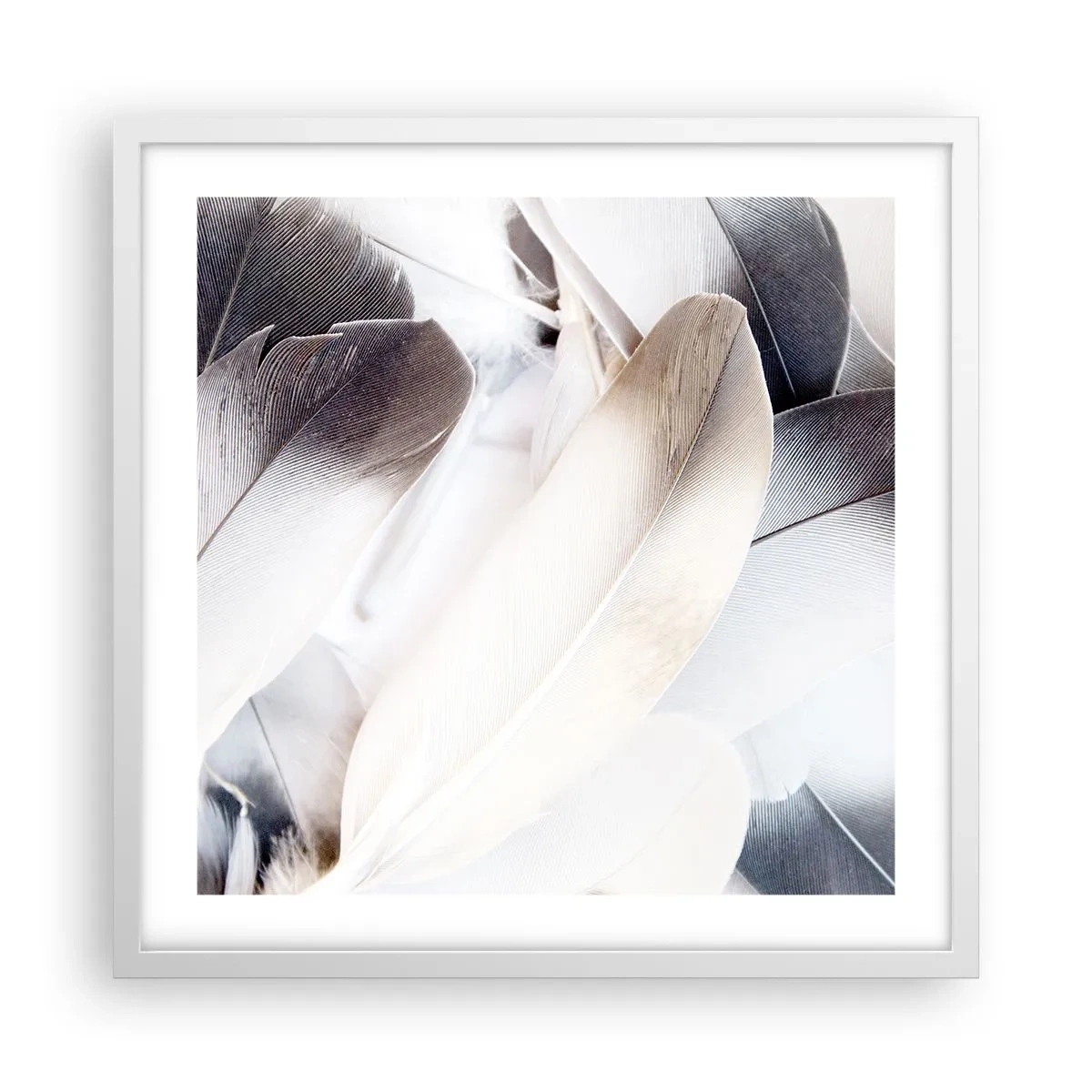 Plakat w białej ramie - Niemal anielskie - 50x50 cm