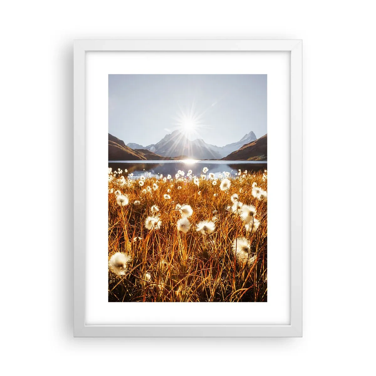 Plakat w białej ramie - Twardość skał, miękkość traw - 30x40 cm