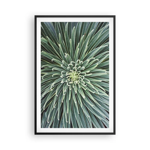 Plakat w czarnej ramie - Narodziny gwiazdy - 61x91 cm