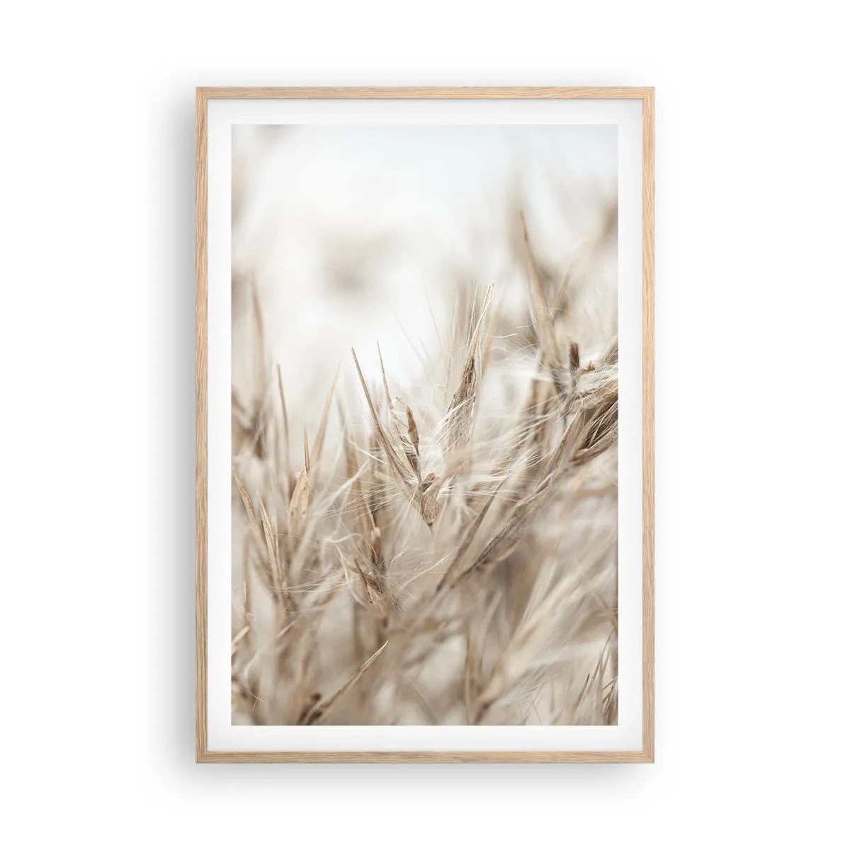 Plakat w ramie jasny dąb - Łąka i wiatr - 61x91 cm