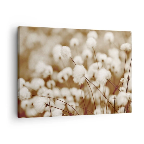 Obraz na płótnie - Pole delikatnych roślin w odcieniach sepia - 70x50cm - Puszysty łan - Nowoczesna dekoracja ścienna do salonu i sypialni ARTTOR