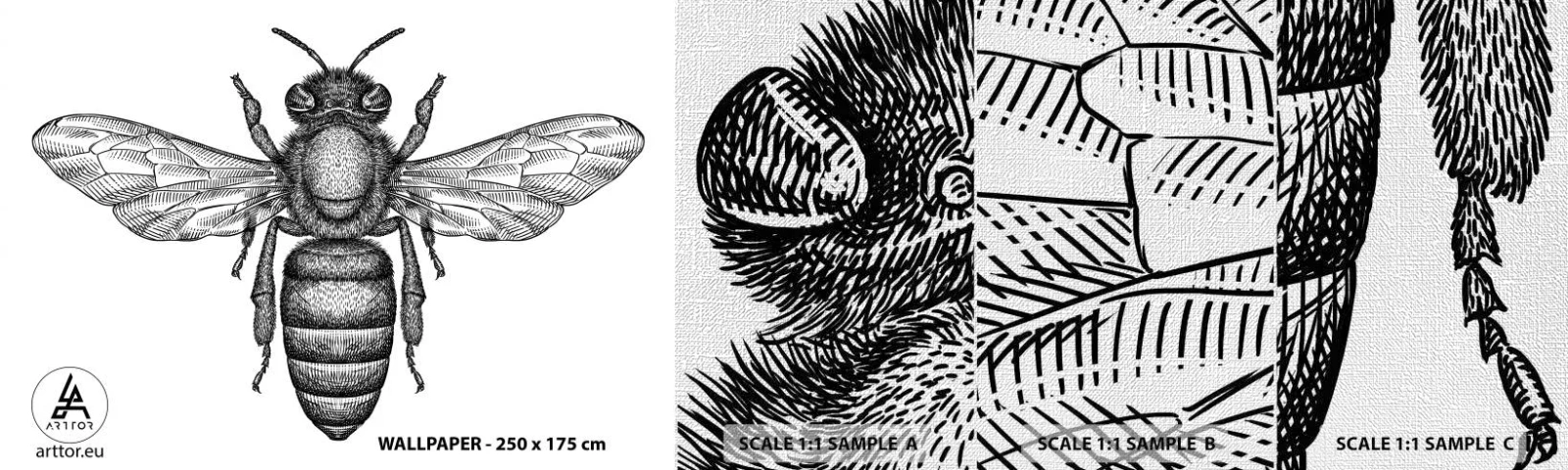 Fototapeta Próbka Premium Canvas - Owadzi portret - Pszczoła, Owad, Minimalistyczny - 100x30 cm