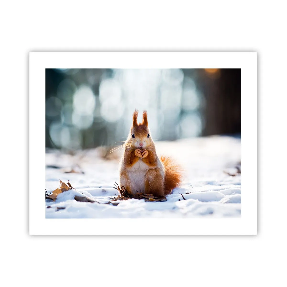 Plakat - I co tak patrzysz? - 50x40 cm