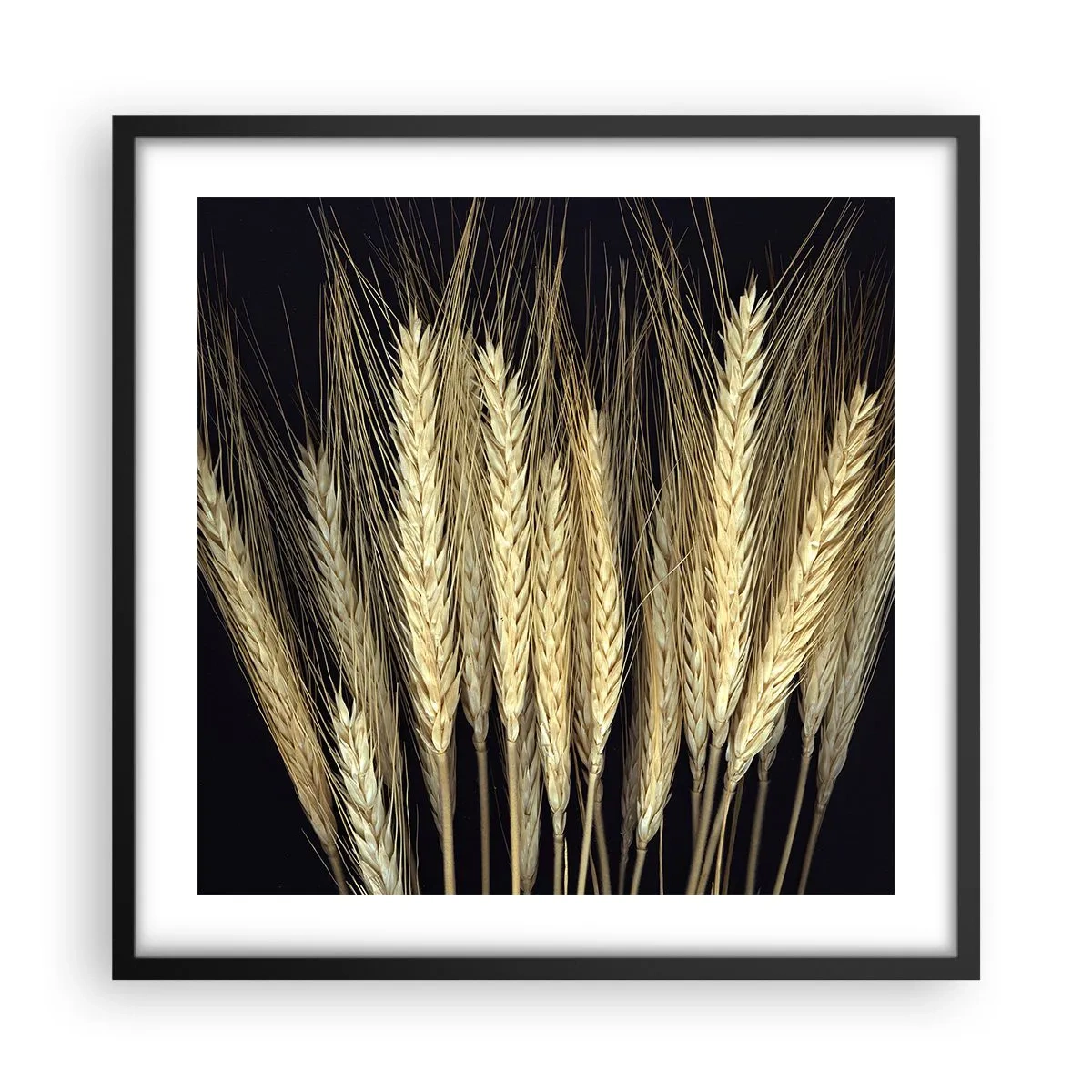 Plakat w czarnej ramie - Rustykalna magia - 50x50 cm