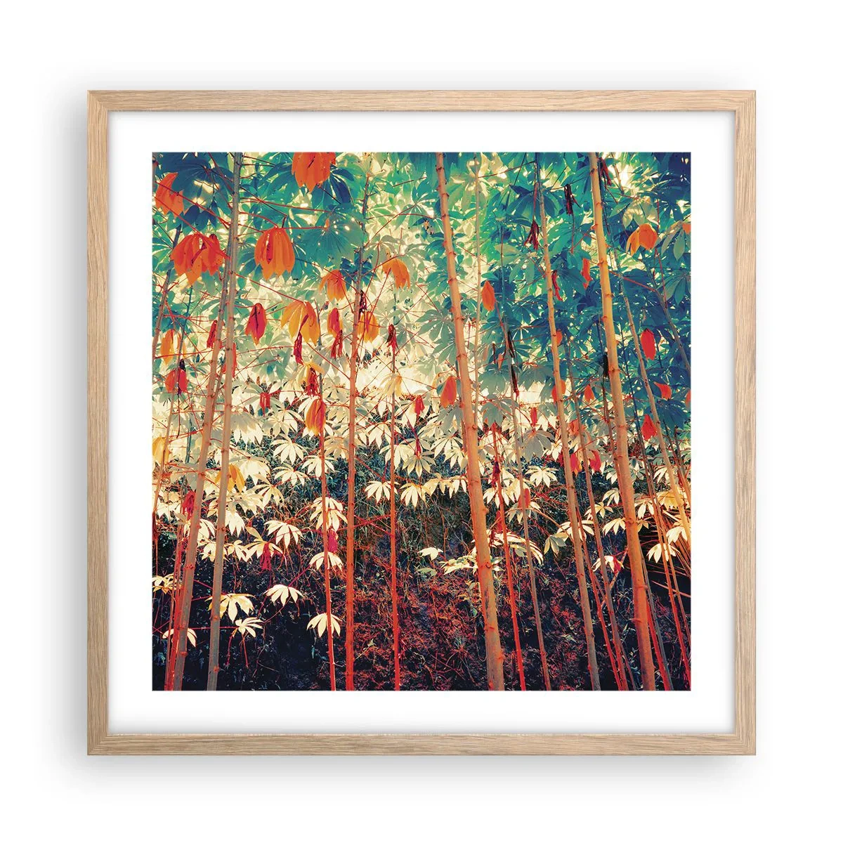 Plakat w ramie jasny dąb - Tajemne życie liści - 50x50 cm