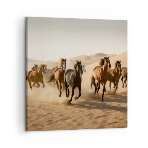 Obraz na płótnie - Wolne jak wiatr - 60x60 cm