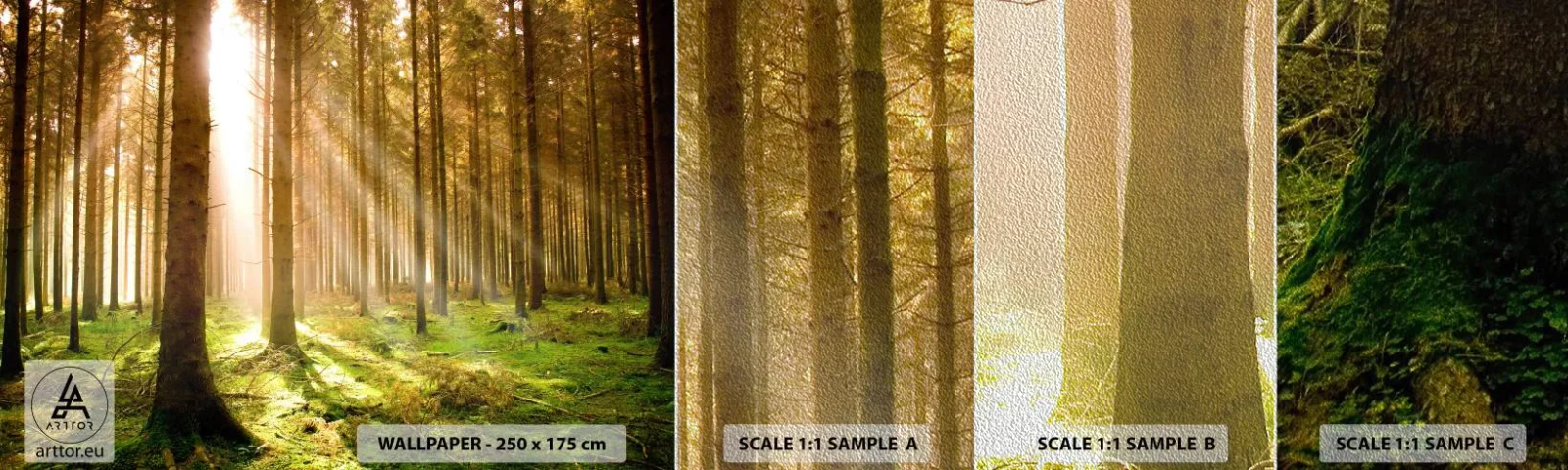 Fototapeta Próbka Premium Sand - Zaraz pojawią się elfy - Las, Promienie Słońca, Natura - 100x30 cm