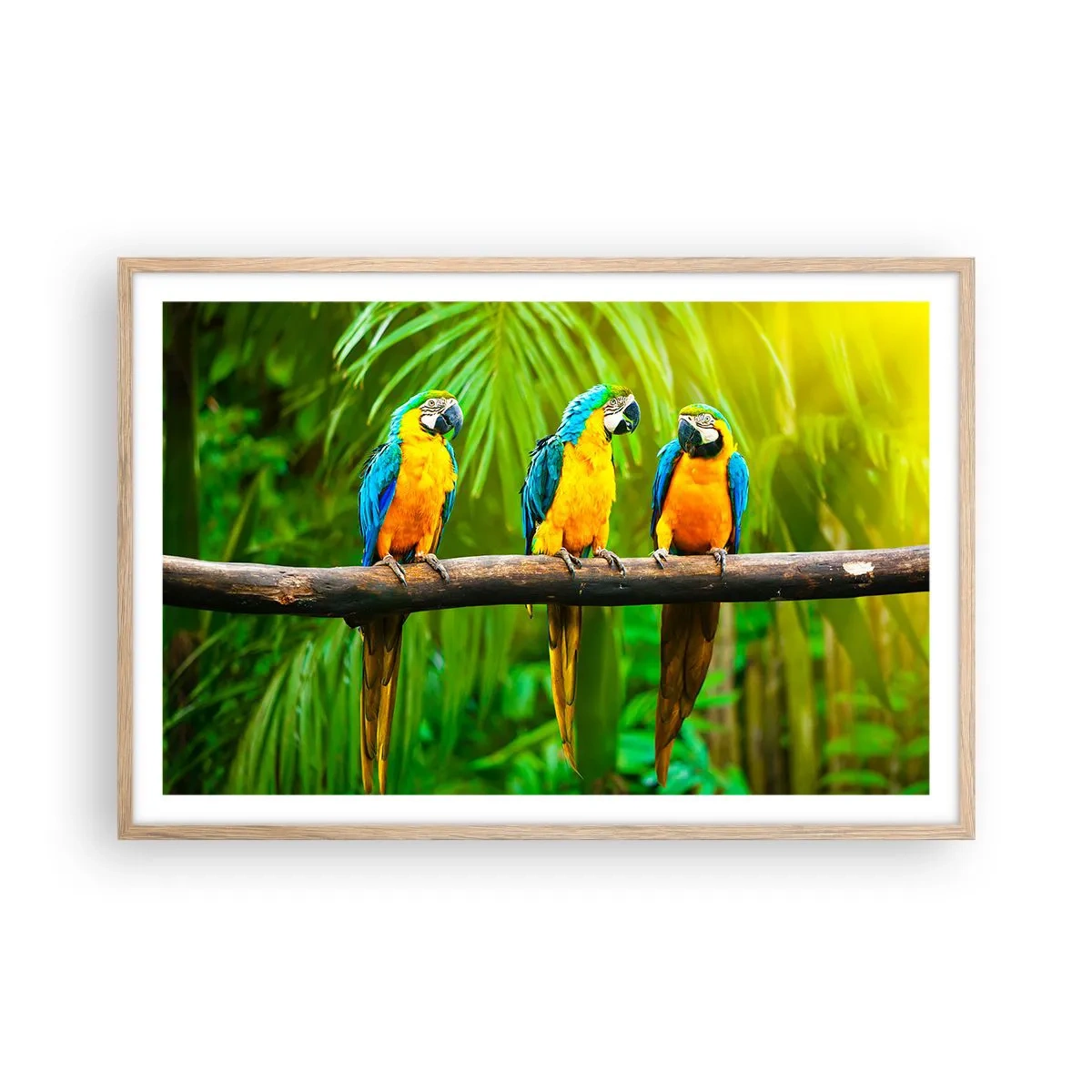 Plakat w ramie jasny dąb - A słyszałaś, że ona…? - 91x61 cm