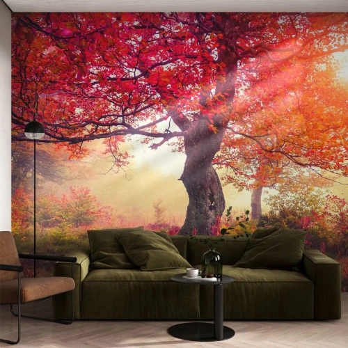 Fototapeta Standard Eco - Szał rozkwitu - Krajobraz, Park, Kwiaty - 350x256 cm