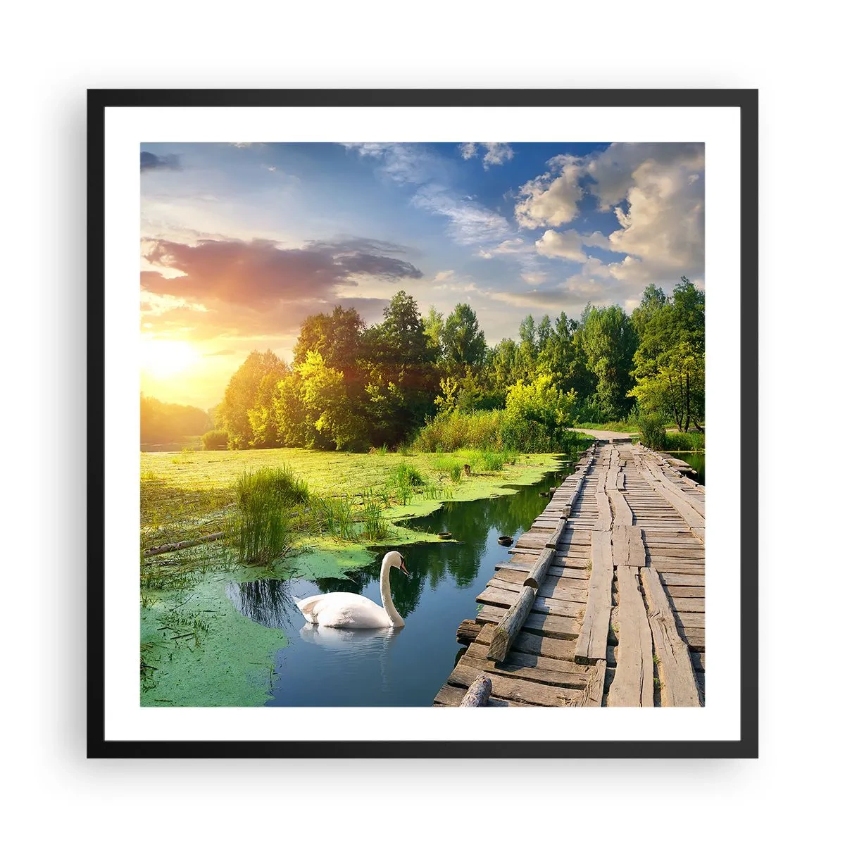 Plakat w czarnej ramie - Lato, lato wszędzie - 60x60 cm