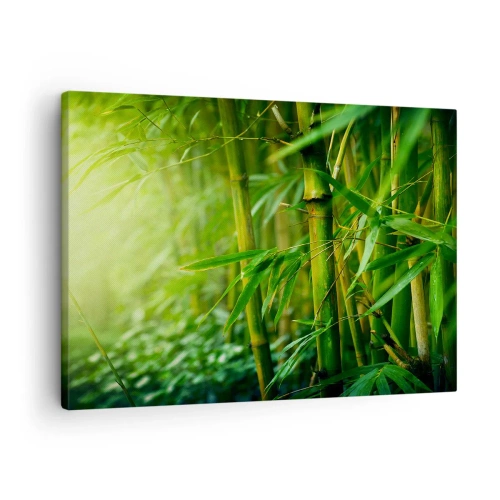 Obraz na płótnie - Zielony bambusowy las w delikatnym świetle - 70x50cm - Poznać zieleń samą w sobie - Nowoczesna dekoracja ścienna do salonu i sypialni ARTTOR