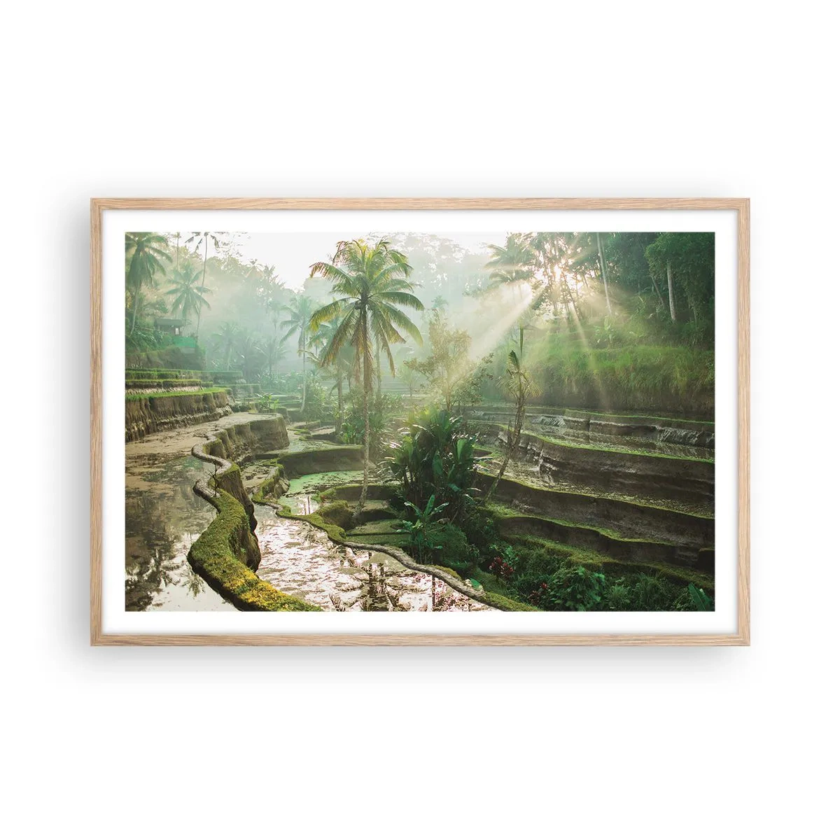 Plakat w ramie jasny dąb - Dorastać w słońcu - 91x61 cm
