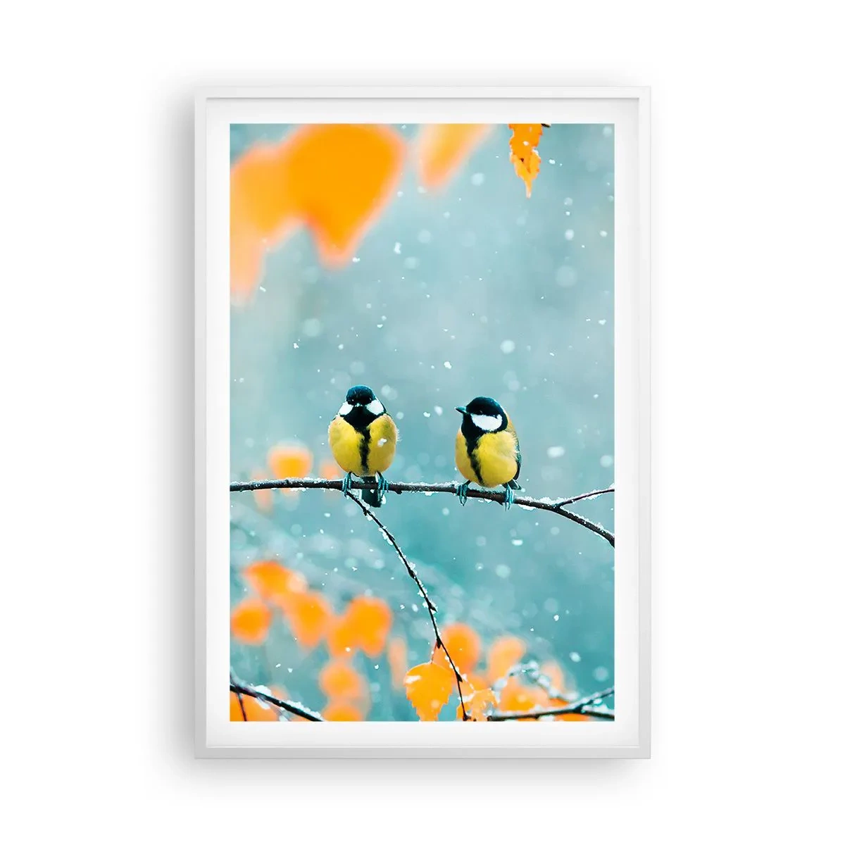 Plakat w białej ramie - Ptasie plotki - 61x91 cm